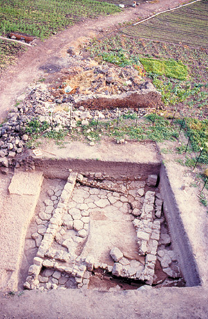 Resti di una casa del III secolo a.C.