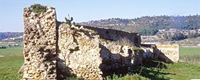 Castello di Odogrillo