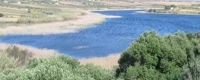 Riserva naturale Lago Preola e Gorghi Tondi