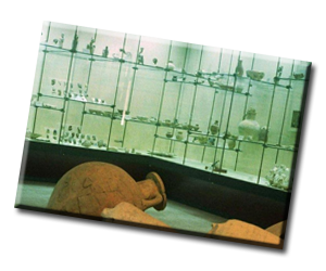 Museo Archeologico della Badia