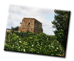 Torre del Cellaro-Sambuca di Sicilia